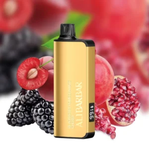 alibarbar ingot 9000 puffs blackberry pomegranate cherry.webp