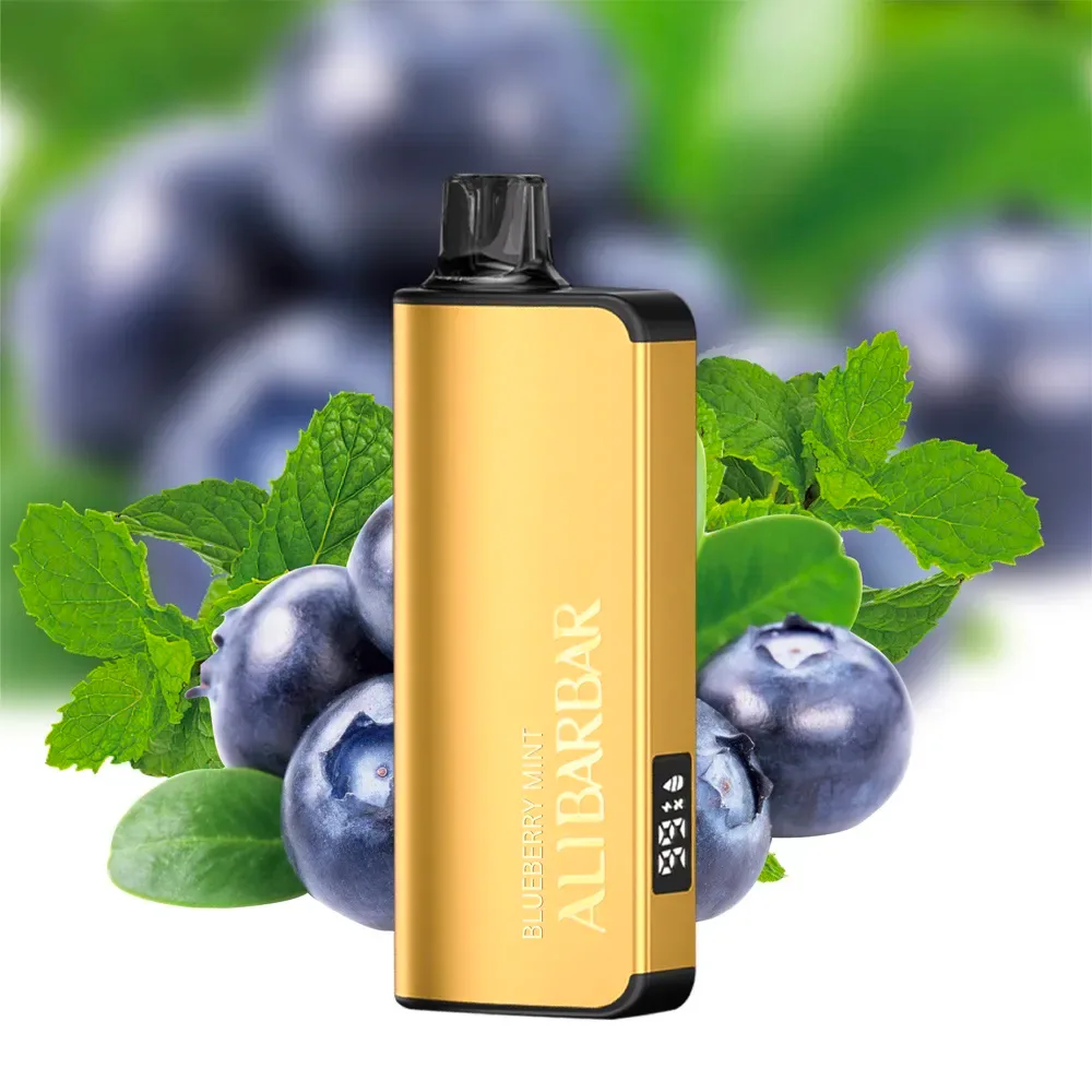 alibarbar ingot 9000 puffs blueberry mint.webp
