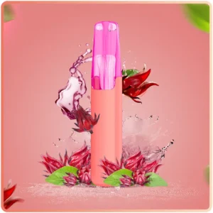 hibiscus ice tea.webp