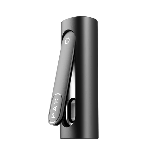onyx1.webp